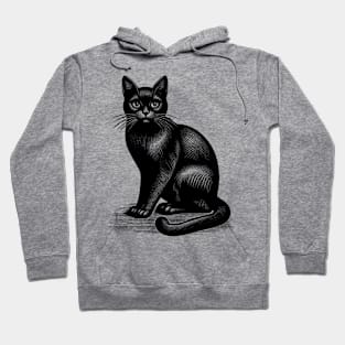 Black cat Hoodie